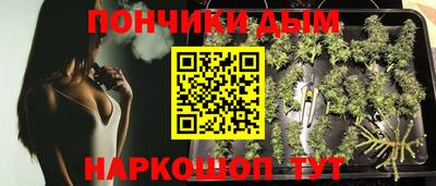 шишки Пыть-Ях