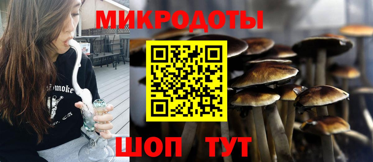 Галлюциногенные грибы мухоморы Октябрьский